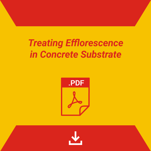 Treating Efflorescence Concrete Substrate